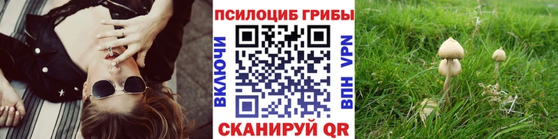 Галлюциногенные грибы GOLDEN TEACHER  MEGA онион  Луга  где купить наркоту 